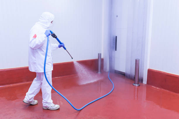 Best Rust and Stain Removal in Sea Ranch, CA
