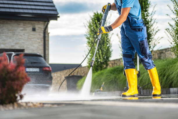 Best Soft Washing for Delicate Surfaces in Sea Ranch, CA